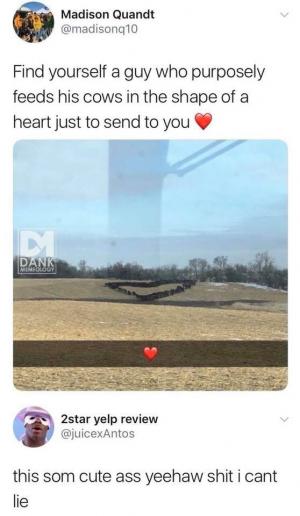 Find yourself a guy who purposely feeds his cows in the shape of a hear to send you

This som cute ass yeehaw shit I cant lie