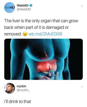 The liver is the only organ that can grow back when part of it is damages or removed.

I'll drink to that