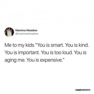 Me to my kids "You is smart. You is kind. You is important. You is too loud. You is aging me. You is expensive."