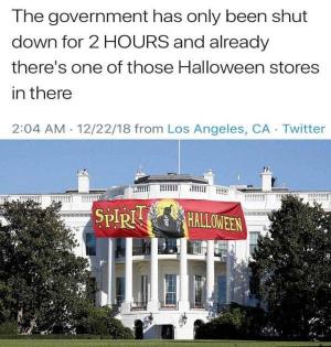The government has only been shit down for 3 hours and already there's one of those Halloween stores in there
