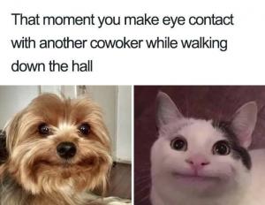 That moment you make eye contact with another coworker while walking down the hall