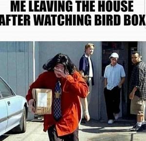 Me leaving the house after watching Bird Box