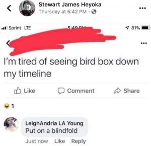 I'm tired of seeing bird box down my timeline

Put on a blindfold