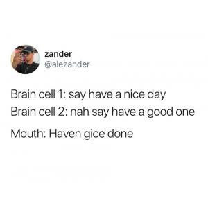 Brain cell 1: Say have a nice day

Brain cell 2: Nah say have a good one

Mouth: Have a gice done