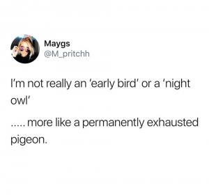 I'm not really an 'early bird' or a 'night owl'

...More like a permanently exhausted pigeon.