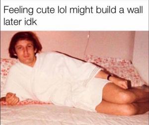 Feeling cure lol might build a wall later idk