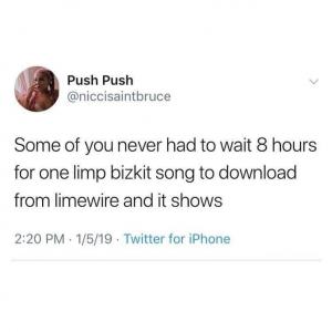 Some of you never had to wait 8 hours for one Limp Bizkit song to download from lime wire and it shows