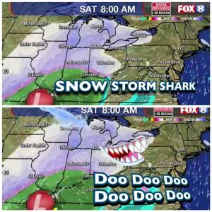 Snow storm shark

Doo doo doo
doo doo doo