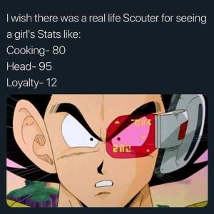 I wish there was a real life Scouter for seeing girl's stats like:

Cooking- 80
Head- 95
Loyalty- 12