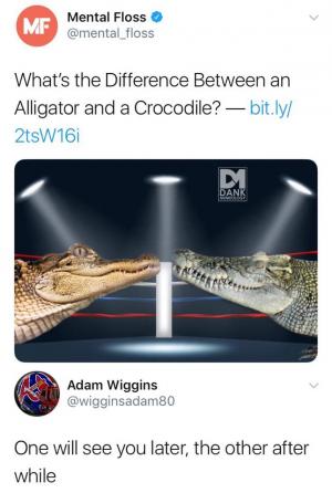 What's the difference between an Alligator and a Crocodile?

One will see you later, the other after a while