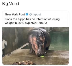 Big mood

Fiona the hippo has no intention of losing weight in 2019