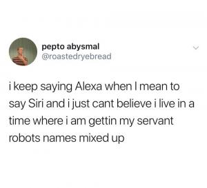 I keep saying Alexa when I mean to say Siri and I just can't believe I live in a time where I am getting my servant robots mixed up