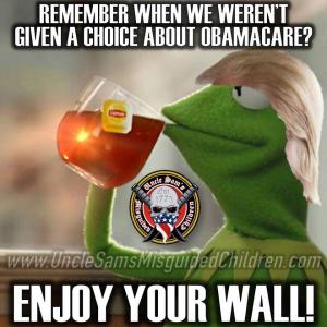 Remember when we weren't given a choice about Obamacare?

Enjoy your wall!