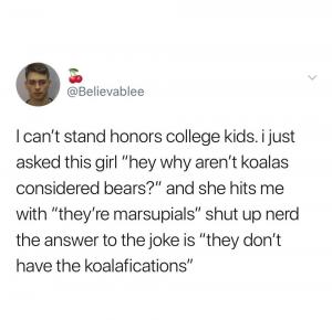 I can't stand honors college kids. I just asked this girl "hey why wren't loa;as considered bears?" and she hits me "they're marsupials" shut up nerd the answer to the joke is "they don't have the koalafications"