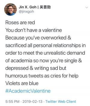 Roses are red

You don;t have a valentine because you've overworked & sacrificed all personal relationships in order to meet the unrealistic demand of academia so now you're single and depressed & writing sad but humorous tweets as cries for help

Violets are blue