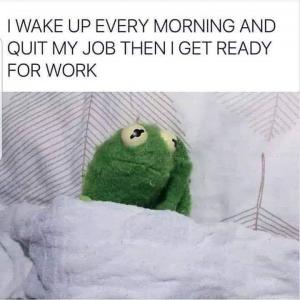 I wake up every morning and quit my job then I get ready for work