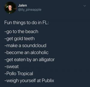 Fun things to do in FL:

-go to the beach
-get gold teeth
-make a soundcloud
-become an alcoholic
-get eaten by an alligator
-sweat-Pollo Tropical
-weigh yourself at Publix
