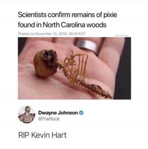 Scientists confirm remains of pixie found in North Carolina woods

RIP Kevin Hart