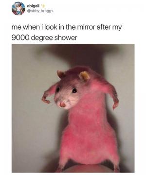 Me when I look in the mirror after my 9000 degree shower
