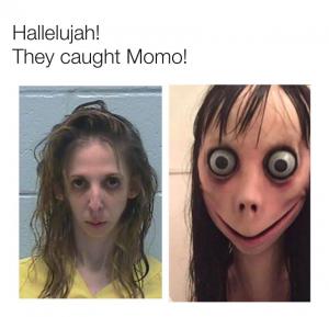 Hallelujah!
They caught Momo!