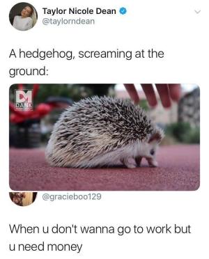 A hedgehog, screaming at the ground

When u don't wanna go to work but u need money