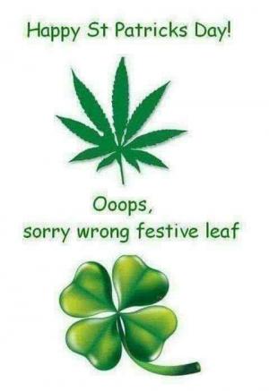 Happy St Patricks Day!

Opps, sorry wrong festive leaf
