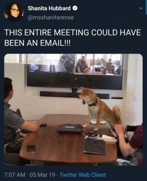 This entire meeting could have been an email!!!