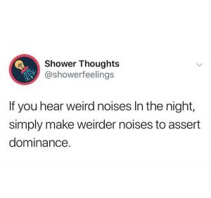 If you heard weird noises in the night, simply make weirder noises to assert dominance.