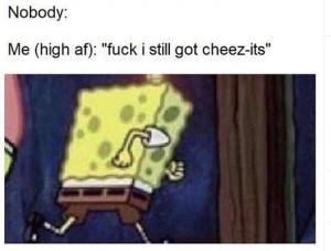 Nobody:

Me (high af): "fuck I still got Cheez-its"