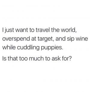 I just want to travel the world, overspend at target, and sip wine while cuddling puppies.

Is that too much to ask for?