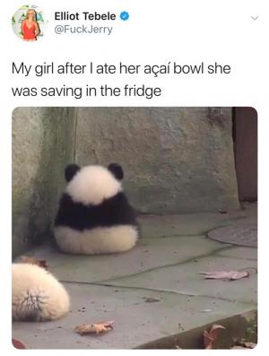 My girl after I ate her acai bowl she was saving in the fridge