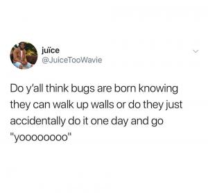 Do y'all think bugs are born knowing they can walk up walls or do they just accidentally do it one day and go "yoooooooo"