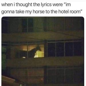 When I thought the lyrics were "Im gonna take my horse to the hotel room"