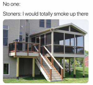 No one:

Stoners: I would totally smoke up there