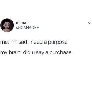 Me: I'm sad I need a purpose

My Brain: did u say