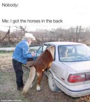 Nobody:

Me: I got the horses in the back