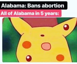 Alabama: Bans abortion

All of Alabama in 5 years: