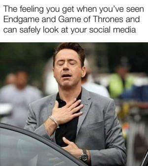 The feeling you get when you've seen Endgame and Game of Thrones and can safely look at your social media