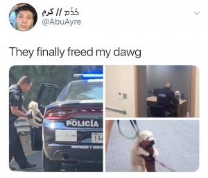 They finally freed my dawg