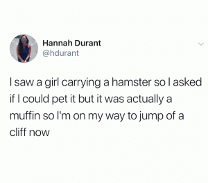 I saw a girl carrying a hamster so I asked If I could pet it but it was actually a muffin so I'm on my way yo jump of a cliff now