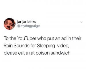 To the YouTuber who put an ad in their Rain Sounds for sleeping video, please eat a rat poison sandwhich