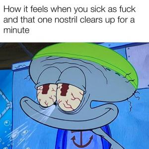 How it feels when you sick as fuck and that one nostril clears up for a minute
