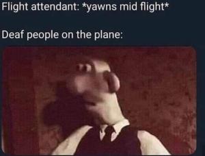 Flight attendant: *yawns mid flight*

Deaf people on the plane: