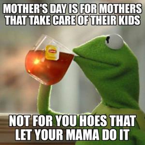 Mother's Day is for Mothers tat take care of their kids

Not for you hoes that let your mama do it