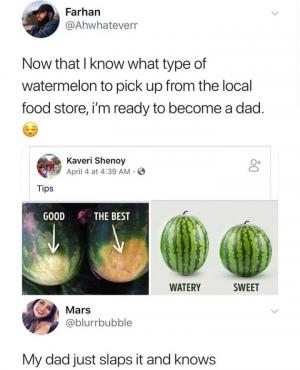 Now that I know what type of watermelon to pick up from the local food store,  I'm ready to become a dad.
