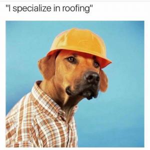"I specialize in roofing"