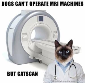 Dogs can't operate MRI machines

Bu catscan