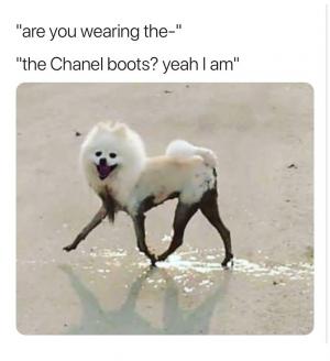 "Are you wearing the-"

"The Chanel boots? Yeah I am"