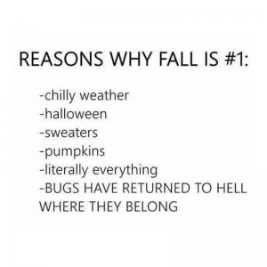 Reasons why Fall is #1:

-Chilly weather
-Halloween
-Sweaters
-Pumpkins
-Literally everything
-Bugs have returned to hell where they belong