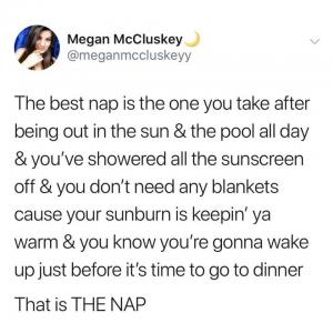 The best nap is the one you take after being out in the sun & the pool all day & you've showered all the sunscreen off & you don't need any blankets cause your sunburn is keepin' ya warm & you know you're gonna wake up just before it's time for dinner 

That is the nap